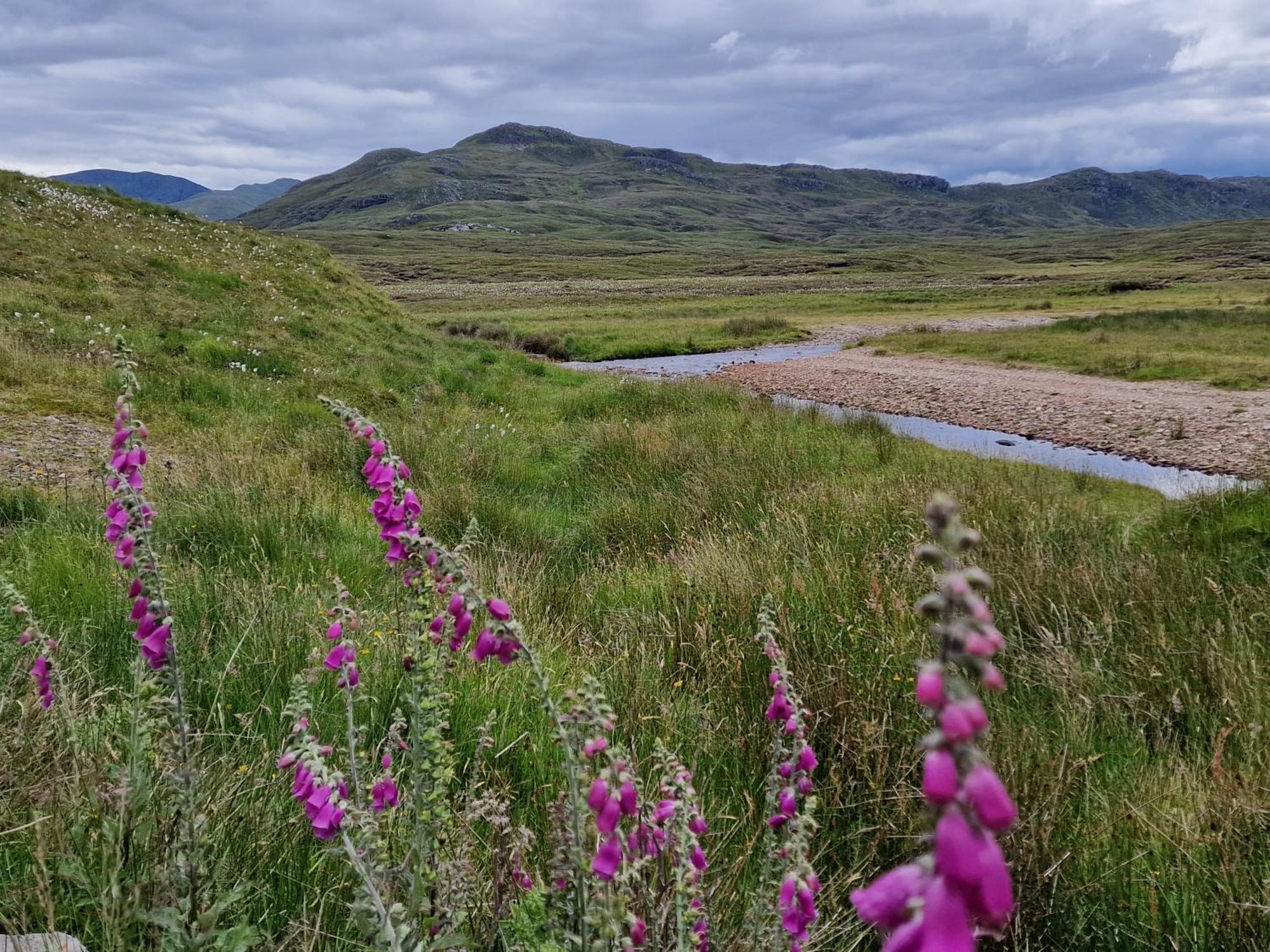 Gorse Gorgeous Glamping Hideaway Lejlighed Dundonnell Eksteriør billede